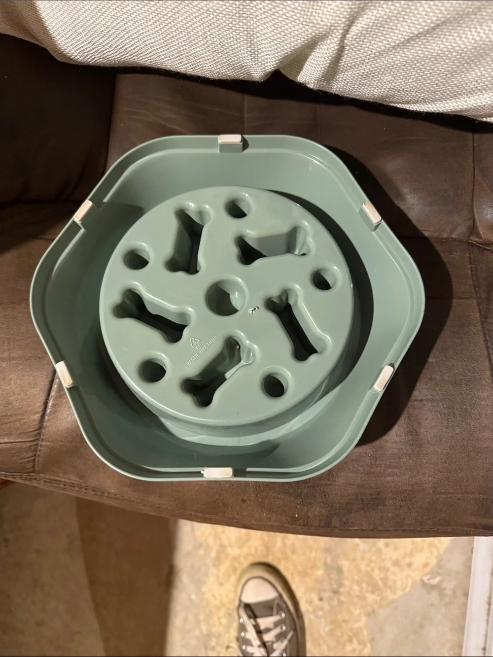Little Cute Thing Slow Feeder Pet Bowl in Sage Green